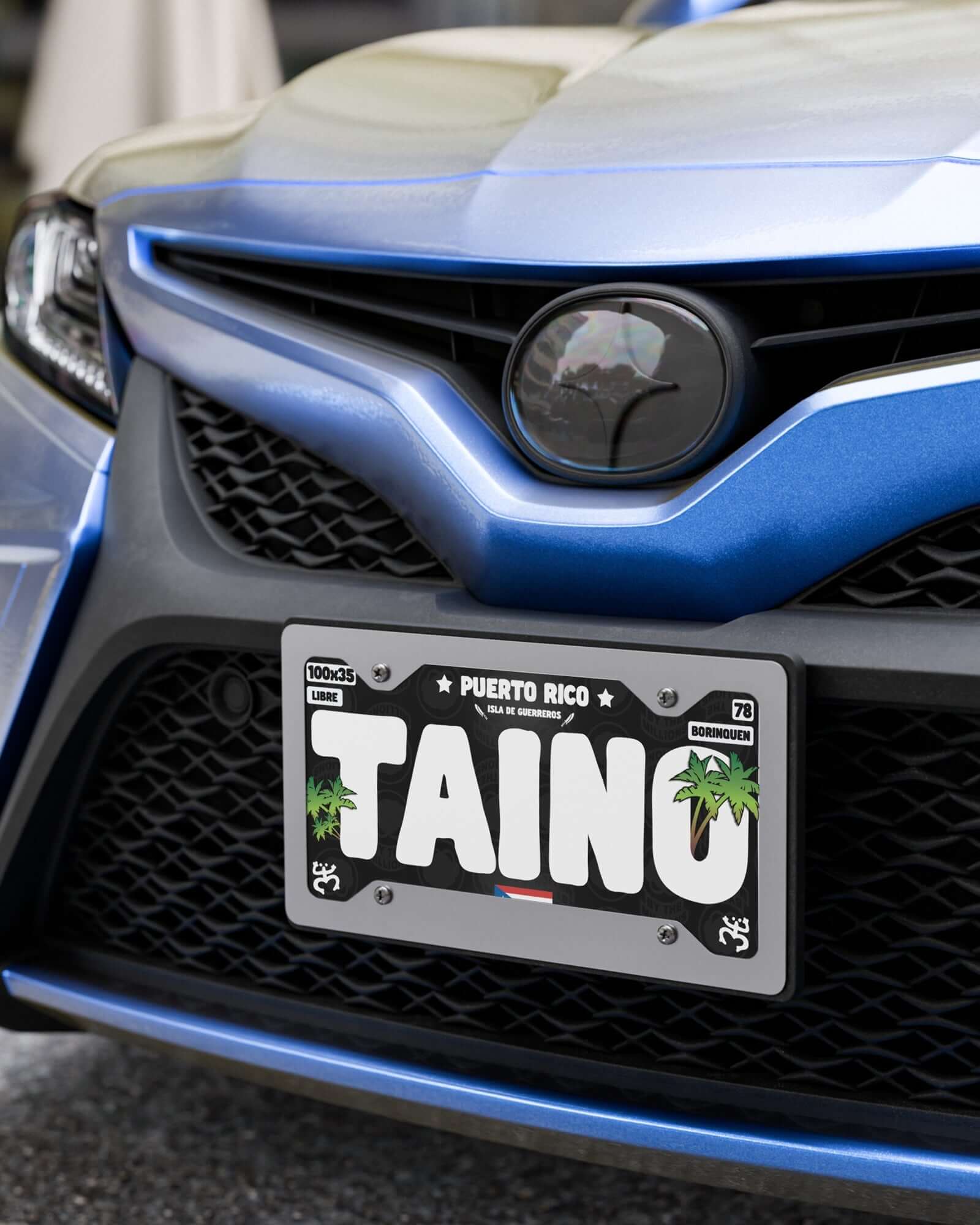 Taino Plates