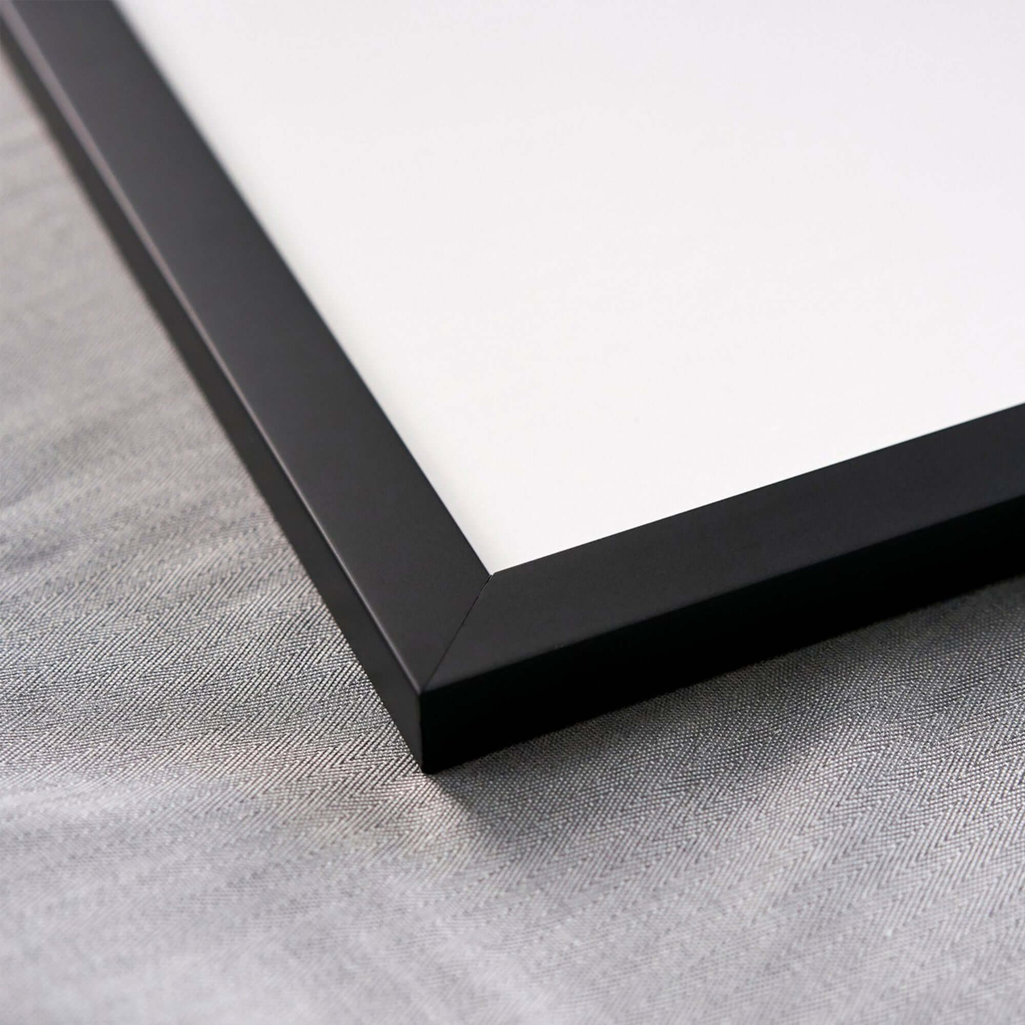 24x36 poster frame closeup 1