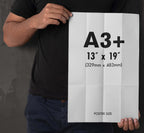 Poster size image 1