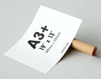 Poster size image 9